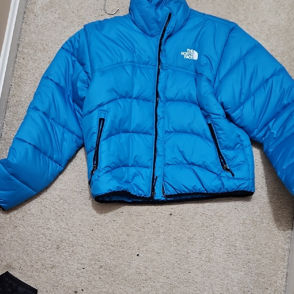 The North Face Vibrant Blue Insulated Jacket